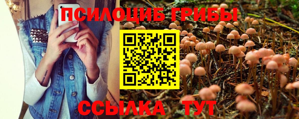 Галлюциногенные грибы Cubensis Канаш