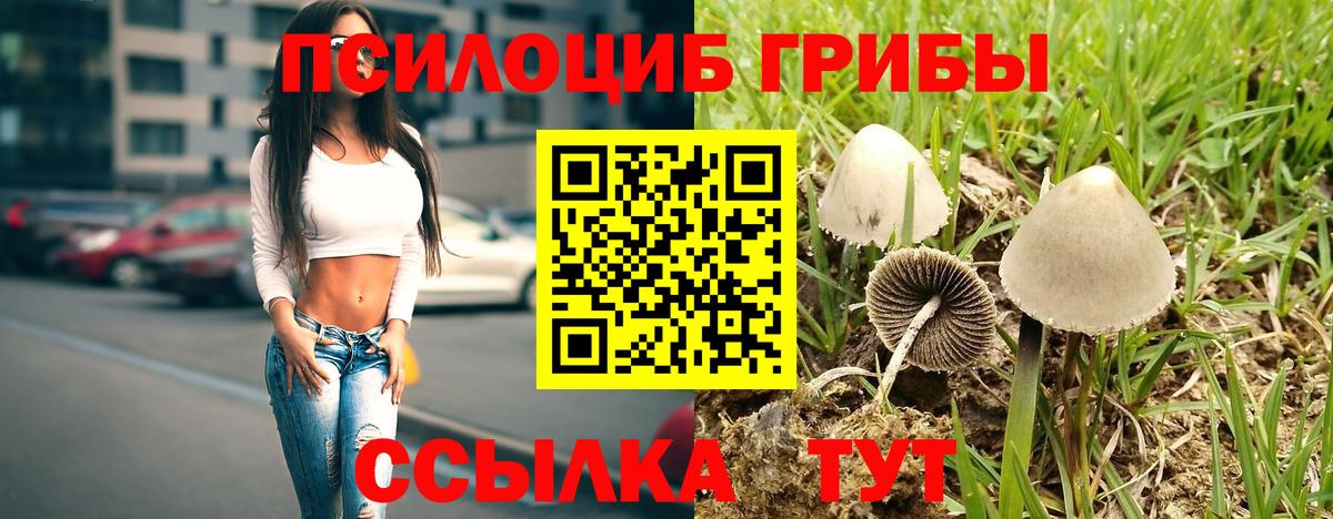 Псилоцибиновые грибы мухоморы  Вход с VPN  как найти закладки  Канаш 